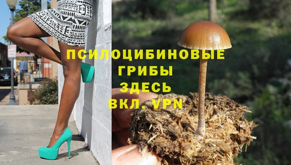 мдма Богородск