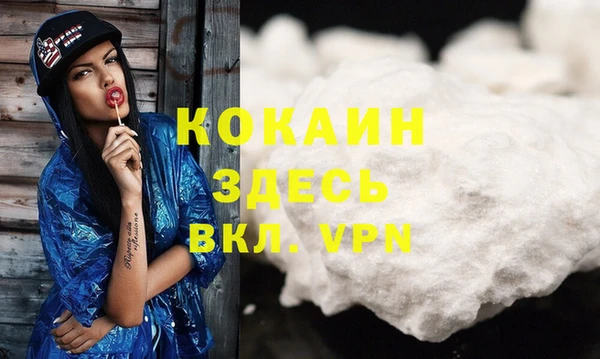 метадон Богданович