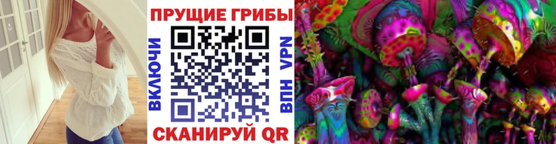 Галлюциногенные грибы Psilocybine cubensis  Высоцк 
