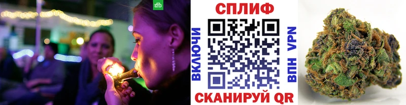 где купить наркоту  Высоцк  Конопля индика 